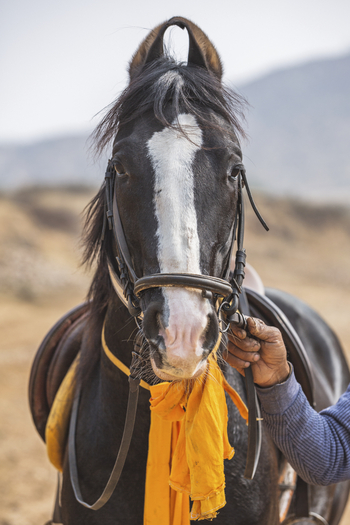 Aman-i-Khas: Ausritt zu Pferd