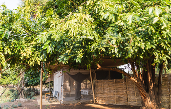 Chula Island Camp Chula Island Camp: Blätterdach