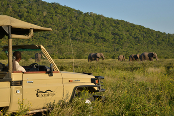 Ghoha Hills Savuti Lodge Ghoha Hills Savuti Lodge: Game Drive