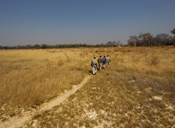 Kanana Camp: Walking Safari