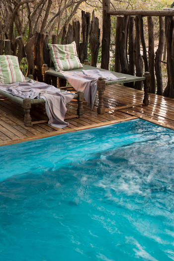 Kanga Camp: Pool mit Liegestühlen