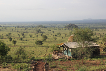 Kidepo Savannah Lodge: Safarizelt mit Savanne