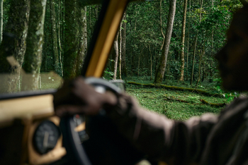 Koroi Forest Camp: Guide am Steuer