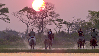 Kujwana Camp: Morgendlicher Ausritt