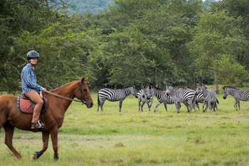 Mihingo Lodge: Reiten