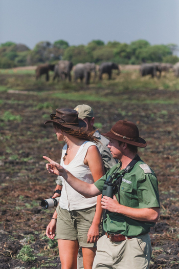 Musekese Camp Musekese Camp: Walking Safari