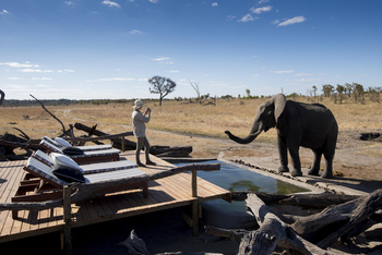 Somalisa Expeditions Camp: Fotografie von Elefant