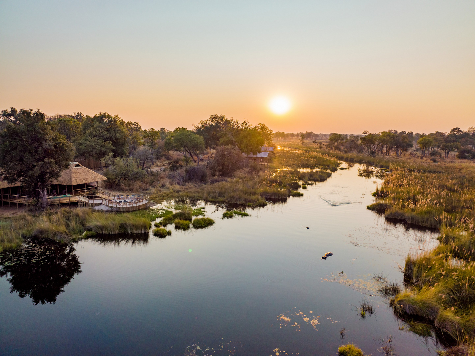 4 Rivers Camp 4 Rivers Camp: Luftbild Hippo
