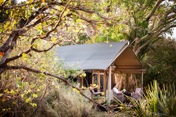 Busanga Bush Camp: Gast auf der Veranda