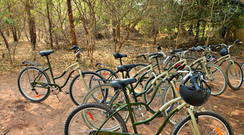 Chobe Bakwena Lodge Chobe Bakwena Lodge: Leihfahrräder