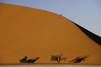Kulala Desert Lodge: Wüstenwanderung
