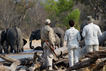 Little Makalolo Camp Little Makalolo Camp: Walking Safari