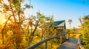 Oddballs' Enclave Camp: Steg