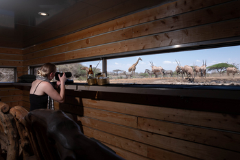 Ol Donyo Lodge: Photographic Hide