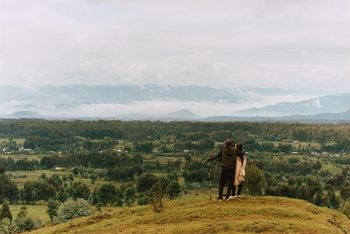 One and Only Gorilla's Nest: Ausblick