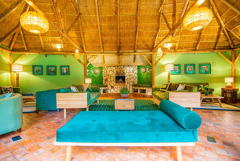 Primate Lodge: Grüne Lounge