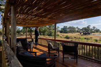 Sabi Sabi Bush Lodge: Person beobachtet Elefanten von Naturdeck