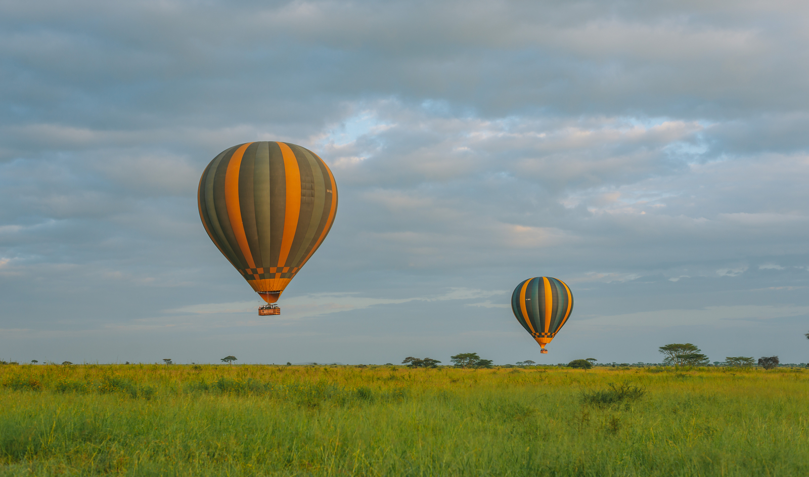 Serengeti Sametu Camp Serengeti Sametu Camp: Hot Air Balloon