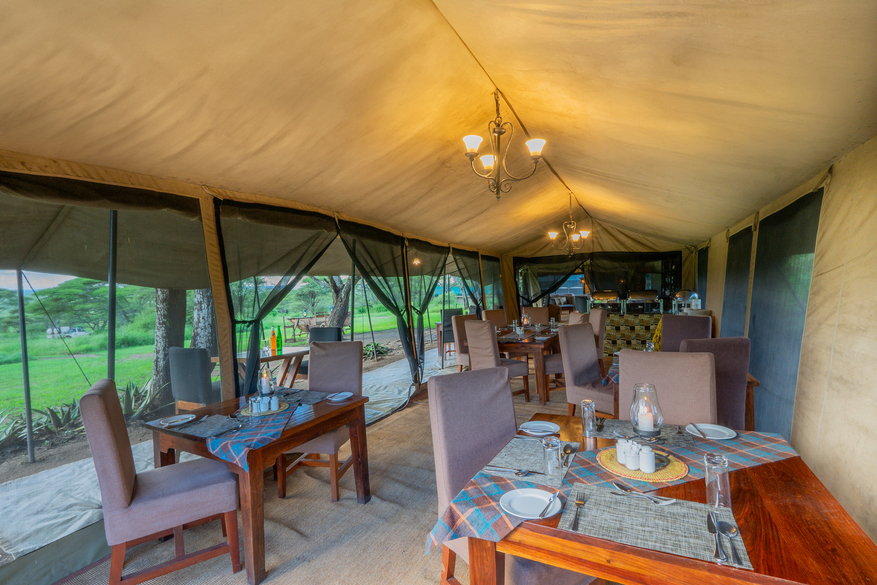 Serengeti Woodlands Camp Serengeti Woodlands Camp
