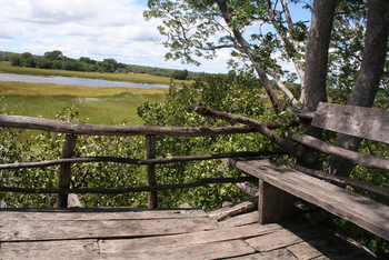 Wasa Lodge: Aussichtsplattform mit Sitzgelegenheit