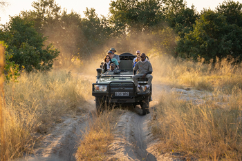 4 Rivers Camp: Game Drive mit Tracker