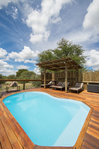 Dinaka Lodge: Pool und Schattendach