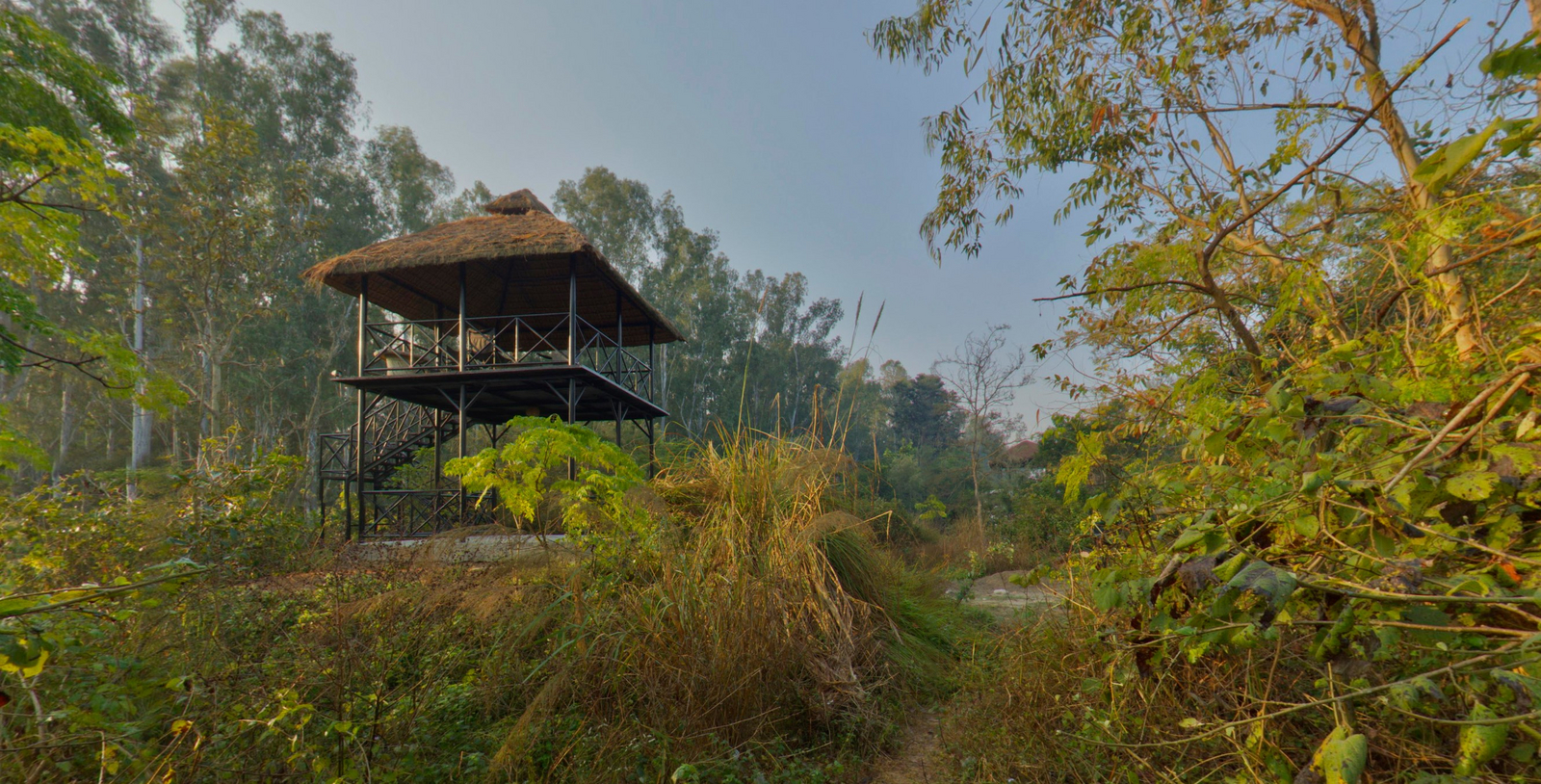 Jim's Jungle Retreat Jim's Jungle Retreat: Beobachtungsturm