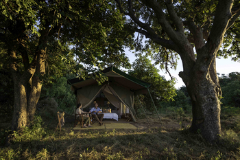 John's Camp John's Camp: Gästezelt - Außenansicht