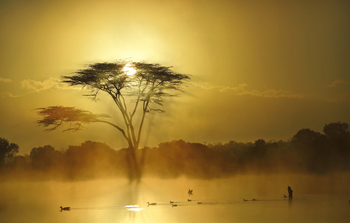 Kicheche Laikipia Camp: Schatten im Nebel