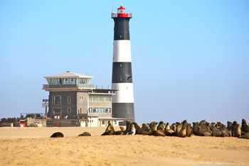 Pelican Point Lodge: Seelöwen vor dem Leuchtturm