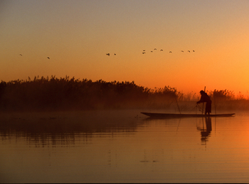 Shoebill Island Camp Shoebill Island Camp: Fisherman