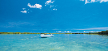 Astove Coral House: Landschaft