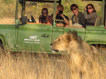 Campi ya Kanzi: Game Drive