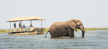 Old Mondoro Camp: Motorbootausflug