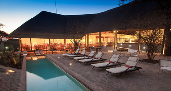 Chobe Bush Lodge Chobe Bush Lodge: Swimming Pool mit Liegestühlen