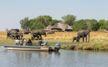 Chobe Savanna Lodge: Fluss-Safari