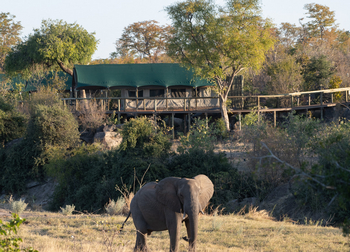 Deteema Springs Camp: Elefantenbesuch