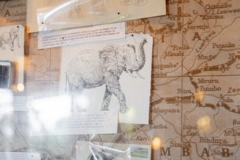 Duma Tau Camp Duma Tau Camp: Elephant Drawing