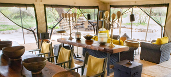 Forest Chem Chem: Lounge