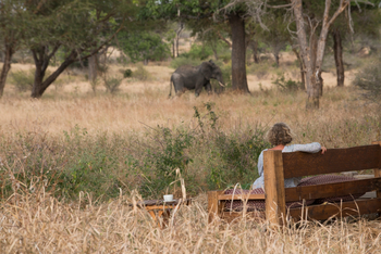 Kuro Tarangire Camp: Bank im Freien