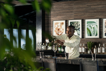 One and Only Nyungwe House: Barman