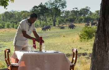 Selinda Explorers Camp Selinda Explorers Camp: Lunch mit Elefanten
