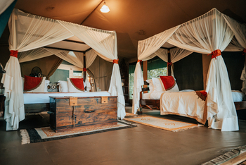 Soroi Mara Bush Camp: Twin Tent