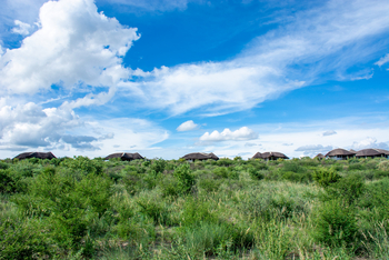 Tau Pan Camp Tau Pan Camp: Chaletdächer