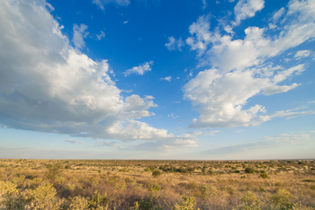 Tau Pan Camp Tau Pan Camp: Landschaft