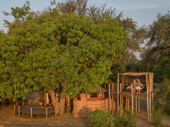 Three Rivers Camp Three Rivers Camp: Gästezelt unter altem Baum