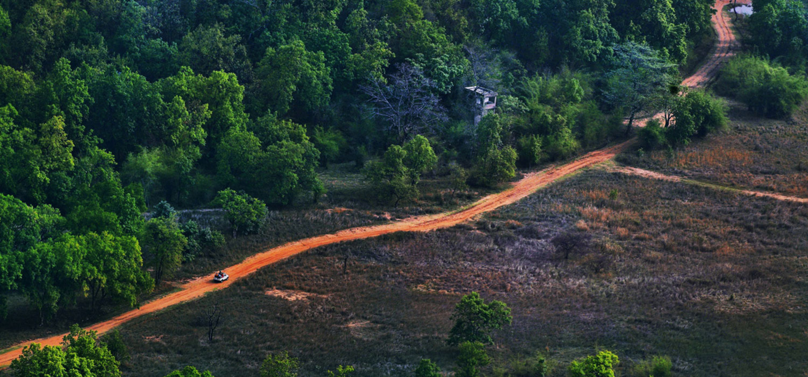 Treehouse Hideaway Treehouse Hideaway: Piste im Busch