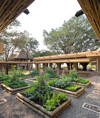 andBeyond Kichwa Tembo Tented Camp: Gemüsegarten