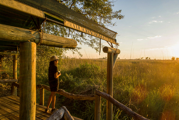 Camp Xakanaxa Camp Xakanaxa: Gästezimmer mit Ausblick