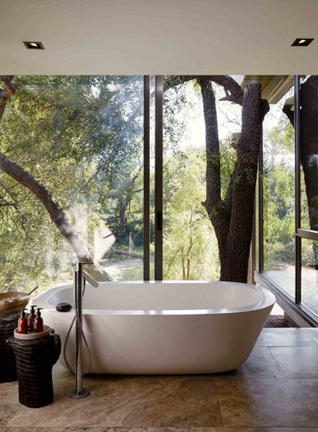 Cheetah Plains: Badezimmer mit freistehender Wanne und Waldblick